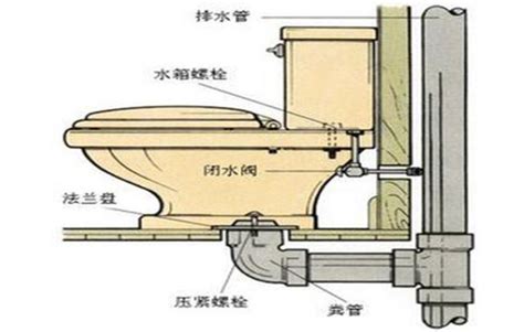 馬桶安裝注意事項|衛浴設備安裝完整教學：高效安裝馬桶、水龍頭等設備。